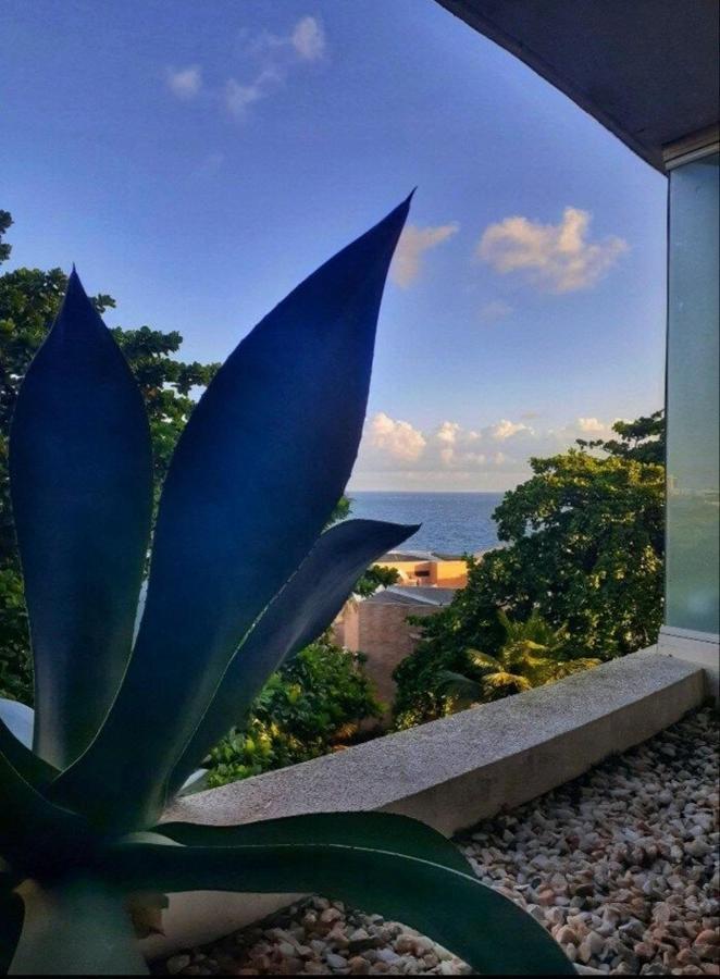 Studio Encantador Em Ondina Salvador Kültér fotó